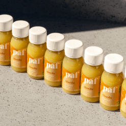Coffret 24 Ginger Shots